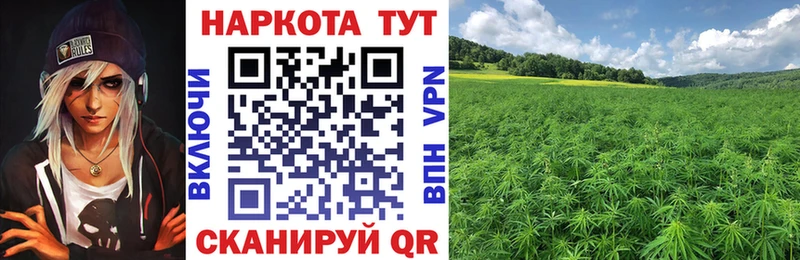 Где купить наркоту Губаха КОКАИН  Псилоцибиновые грибы  kraken зеркало  СК  Марихуана  МЕФ  Гашиш 
