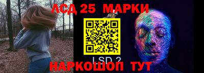 гашик Будённовск