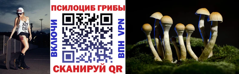 Галлюциногенные грибы ЛСД  купить закладку  Губаха 