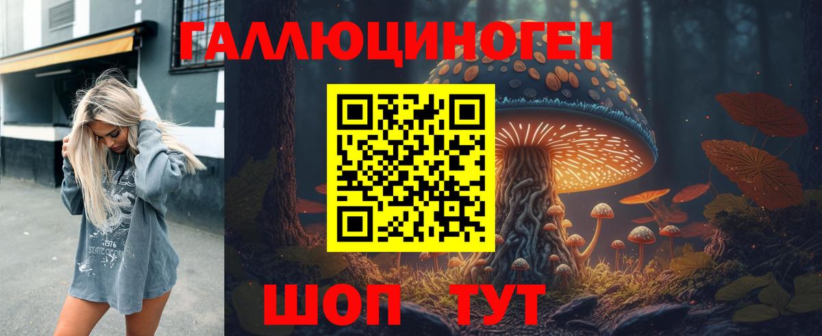 где можно купить   Галлюциногенные грибы Cubensis  Губаха  Псилоцибиновые грибы прущие грибы 