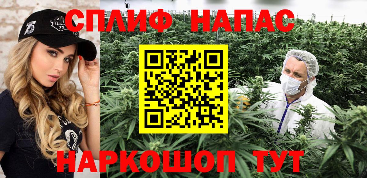 Бошки марихуана сатива  Губаха  Шишки марихуана конопля  МАРИХУАНА планчик 